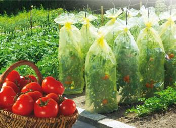 HOUSSE TOMATES 0.6X10M