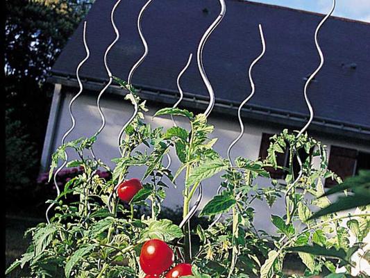 TUTEUR TOMATE SPIRAL H1.80M D.7MM