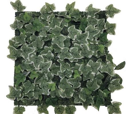 PANNEAU VEGETAL ALAMEDA 50X50CM