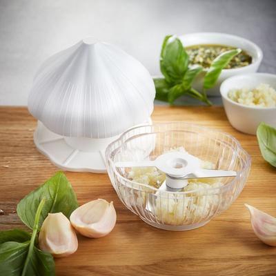 COUPE-AIL AGLIOLI