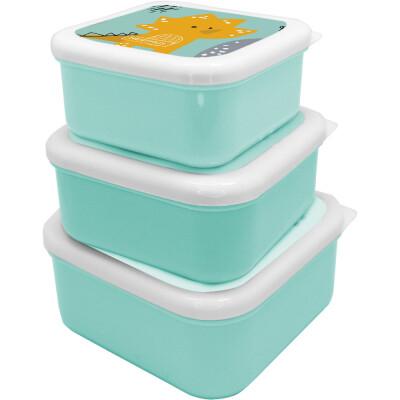 LUNCHBOX 3PCS DINO