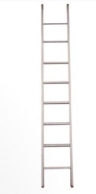 ECHELLE ECHO PROF. 2X12