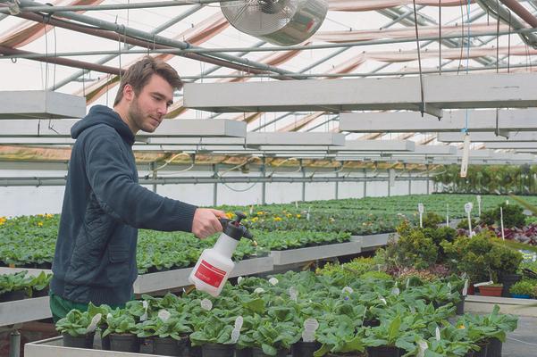 BIRCHMEIER SUPER STAR 1.25