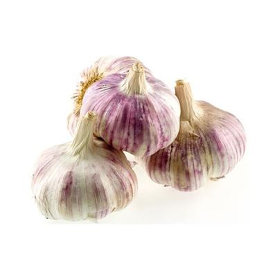 AULX FLAVOR 45+ 500GR