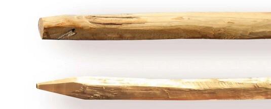 PIQUET ACACIA D.8-10CM 1.80M