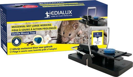 VANILLE MOUSE TRAP PIEGE A SOURIS