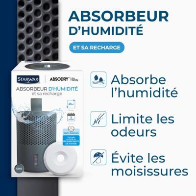 ABSORBEUR + 1 TABLETTE 500G GRIS
