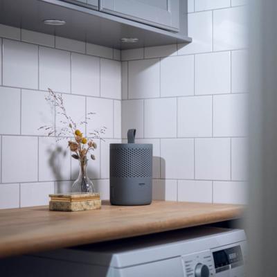 ABSORBEUR + 1 TABLETTE 500G GRIS