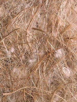 COCO SISAL JUTE COTON 500G