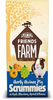 GERTY SCRUMMIES POMME + FRAISE 120GR