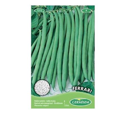 HARICOT NAIN MANGETOUT FIN FERRARI