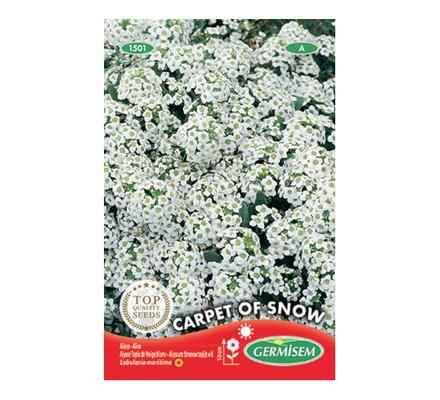 ALYSSE TAPIS DE NEIGE BLANC