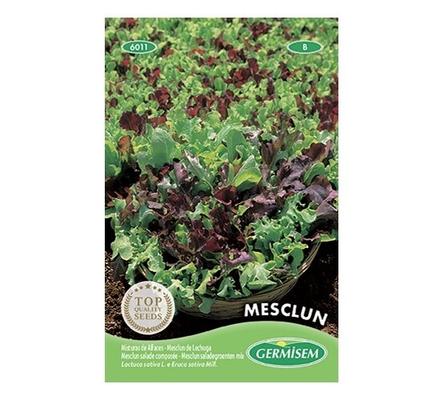 MESCLUN SALADE COMPOSEE