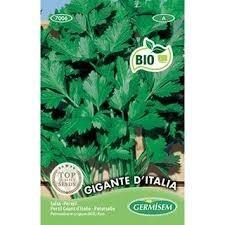 PERSIL GEANT D'ITALIE