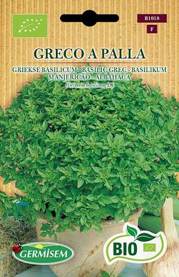 BE-BIO-01 BASILIC GREC