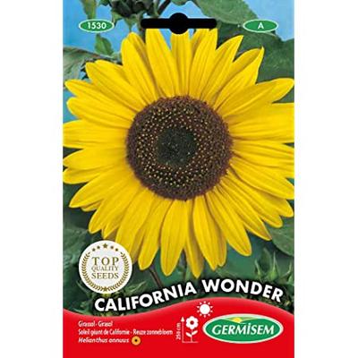 BE-BIO-01 HELIANTHUS (SOLEIL) GEANT DE CALIFORNIE