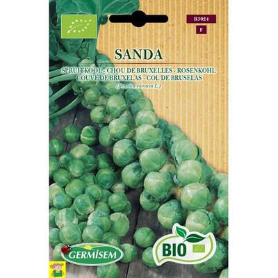 BE-BIO-01 CHOU DE BRUXELLES SANDA