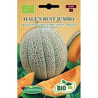 BE-BIO-01 MELON HALE'S BEST JUMBO