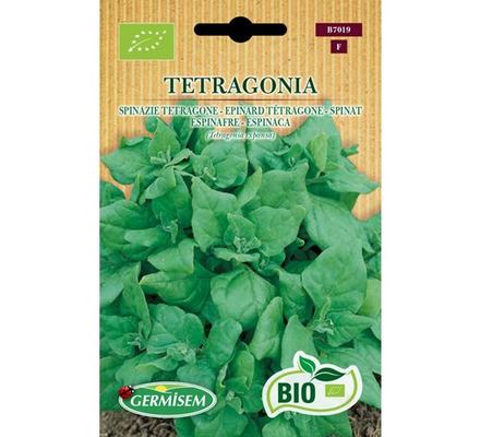 BE-BIO-01 EPINARD TETRAGONE
