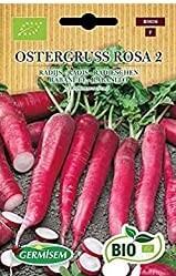 BE-BIO-01 RADIS OSTERGRUSS ROSA 2