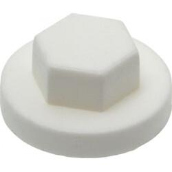 CAPUCHON BRUN POUR TOLE DE BARDAGE (100PCS)