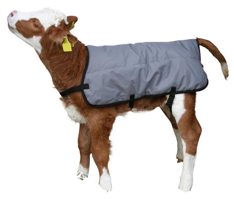 COUVERTURE VEAU GRISE 70CM