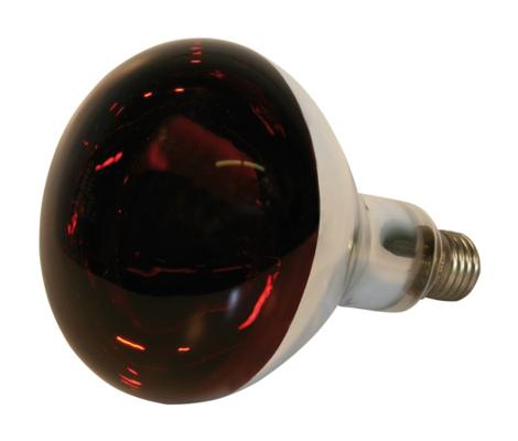 LAMPE INFRA ROUGE 250W KERBL