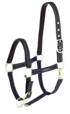 LICOL ROYAL BRAUN/HELLBLAU, COB