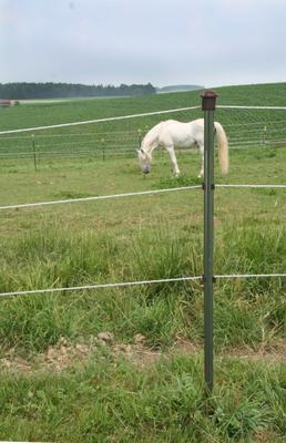 PIQUET METALLIQUE AKO T-POST VERT/BLANC 182CM (5PCS)