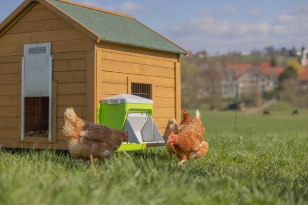 SMARTCOOP NOURRISSEUR AUTOMATIQUE AVEC EMBOUT DE PROTECTION 7.5KG