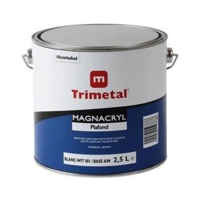TRIMETAL MAGNACRYL PLAFOND 2.5L BASE AW