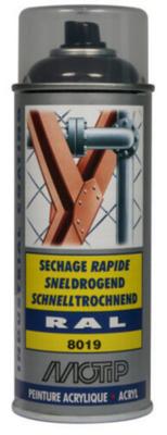 MOTIP 400ML RAL 8019 SPRAY