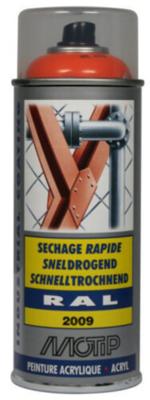 MOTIP 400ML RAL 2009 SPRAY