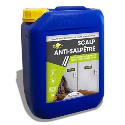 SCALP ANTI SALPETRE 1L