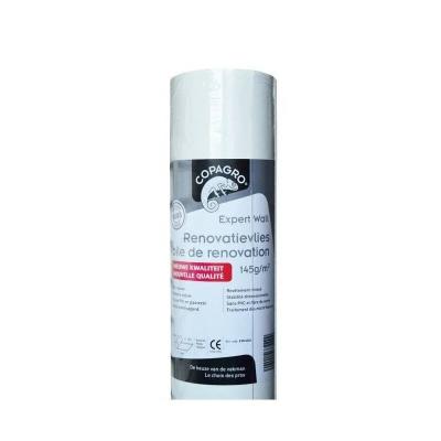 CG VOILE RENOVATION EXPERT WALL 145G 1MX25M