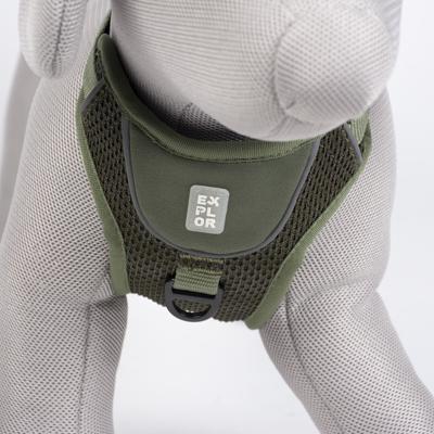 HARNAIS FIT NO-PULL XS - 20-40CM - 37-45CM UNDERCOVER VERT