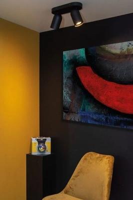 PUNCH SPOT PLAFOND 2XGU10 NOIR