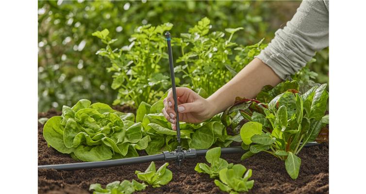 ARROSEUR POUR PETITES SURFACES