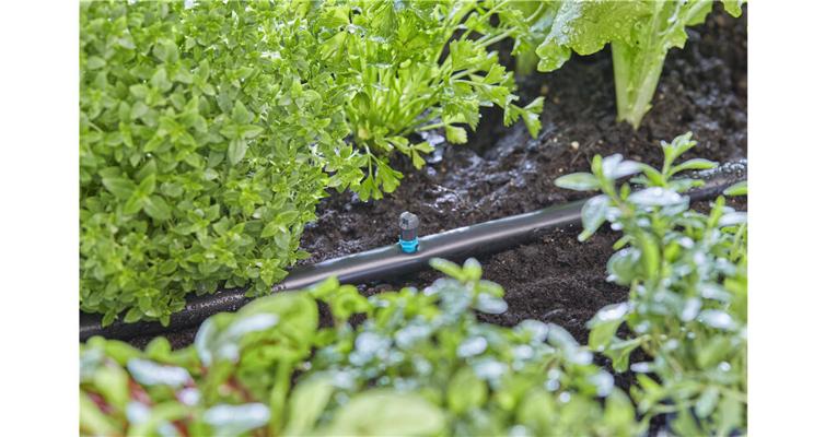 MICRO-ASPERSEUR POUR PLATE-BANDE