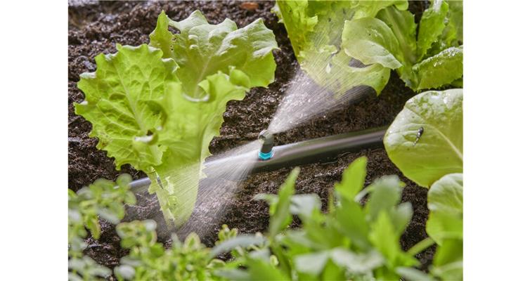 MICRO-ASPERSEUR POUR PLATE-BANDE