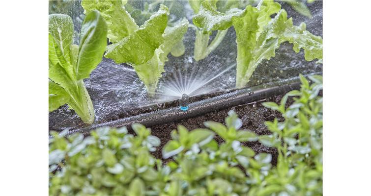 MDS- ASPERSEUR 180°