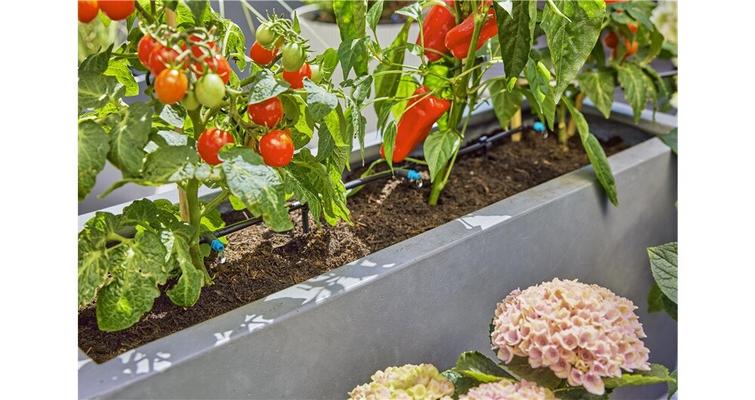 KIT DE BASE POUR TERRASSE ET BALCON