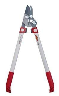 ELAGUEUR A BEC PERROQUET