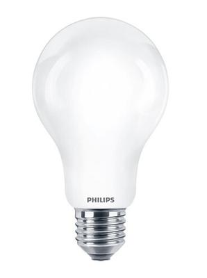 AMPOULE LED FILAMENT 150W A67 E27 2700K