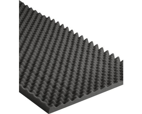 PANNEAU ACOUSTIQUE ALVEOLE ISOLANTE 100X50CM (2PCS)