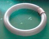 TL CIRCLINE T9 40W 4000K 2900LM 400MM