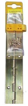 CHARNIERE PIANO INOX + VIS 1000