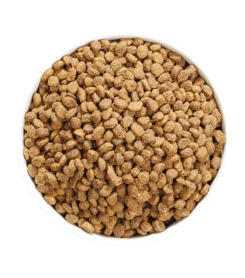 OWNAT AUTHOR FRESH OILY FISH & POULTRY 3KG