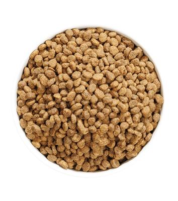 OWNAT AUTHOR FRESH OILY FISH & POULTRY 1.5KG