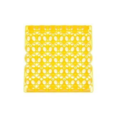 ALVEOLE PLASTIQUE 30X30CM - 30 OUFS